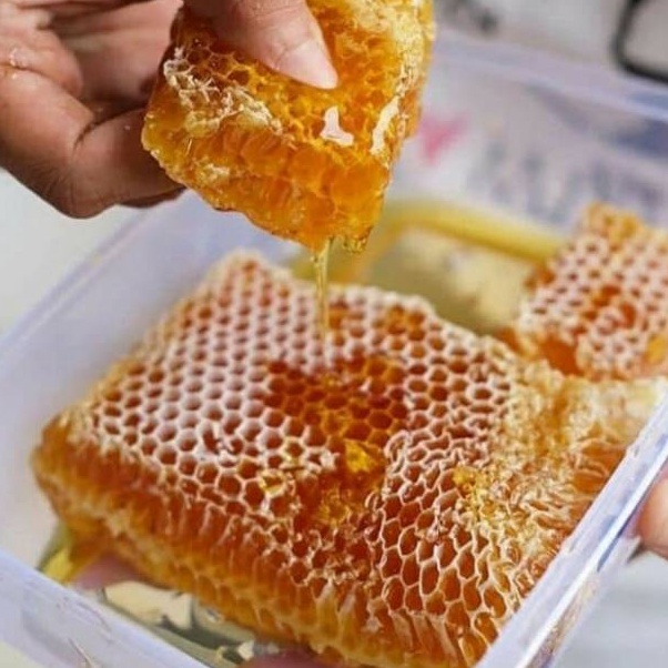 

TERLARIS O85 MADU SARANG / HONEY COMB MURNI KUALITAS PREMIUM 100% ASLI 100 GR ⇒