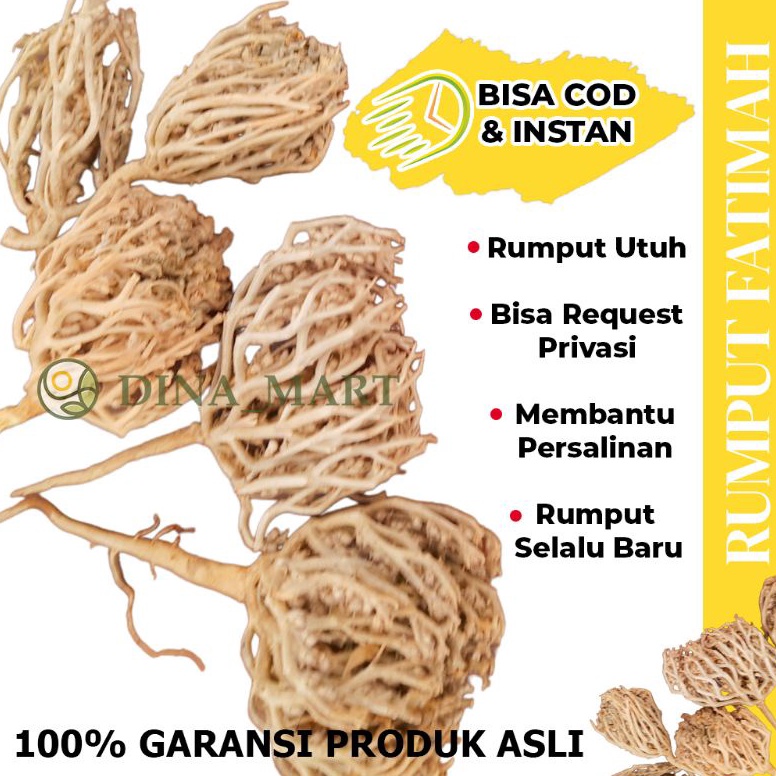 

⟳ RUMPUT FATIMAH ASLI ARAB RUMPUT FATIMAH UNTUK PERSALINAN RUMPUT FATIMAH ORIGINAL RUMPUT FATIMAH ARAB ↬