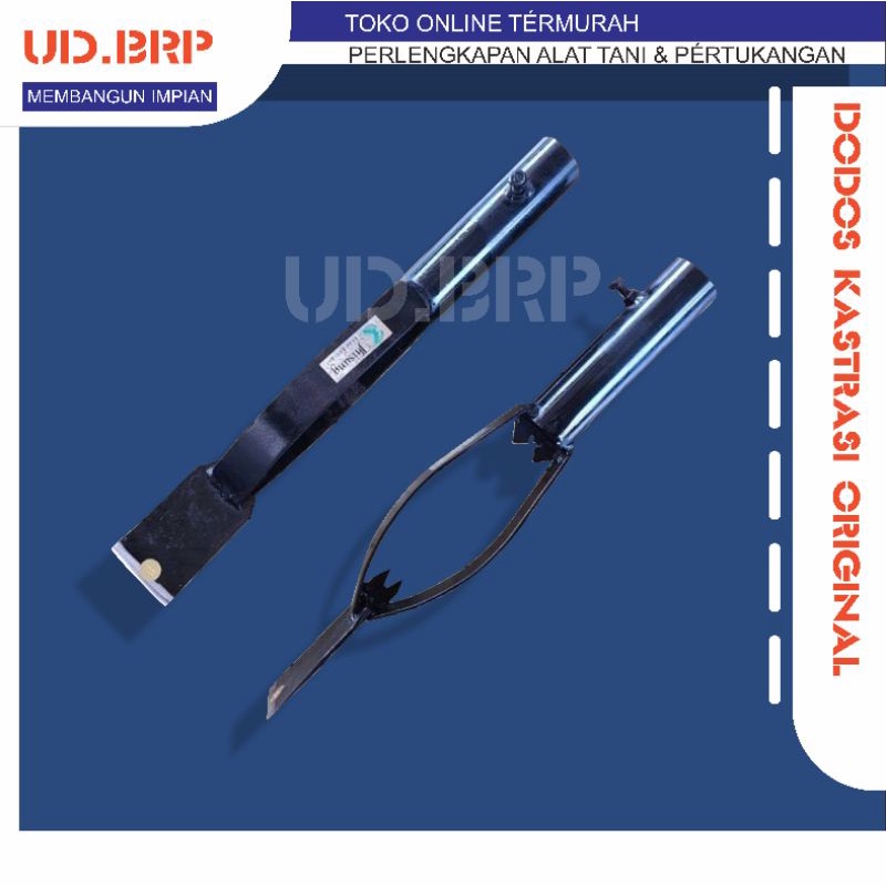 DODOS KASTRASI KELAPA SAWIT