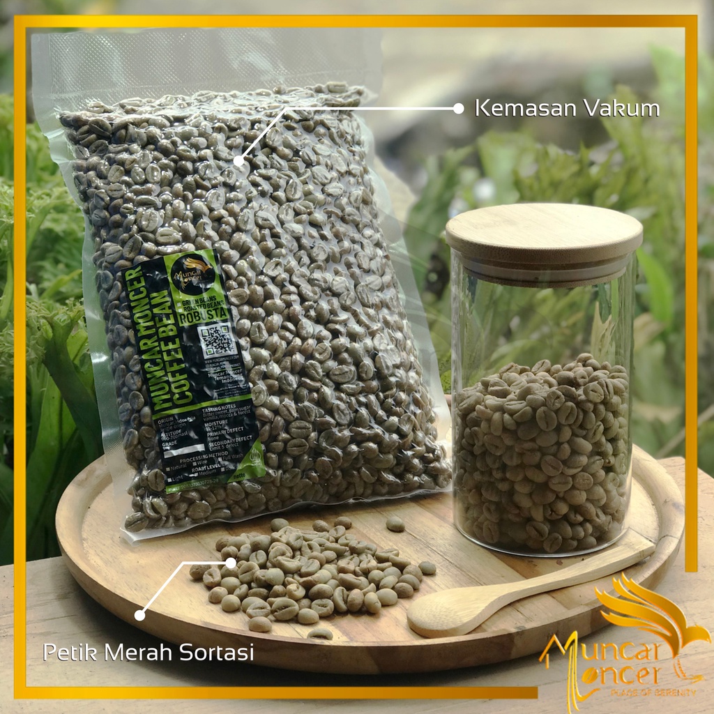 

Biji Kopi Green Bean Coffee Robusta Petik Merah Pilihan