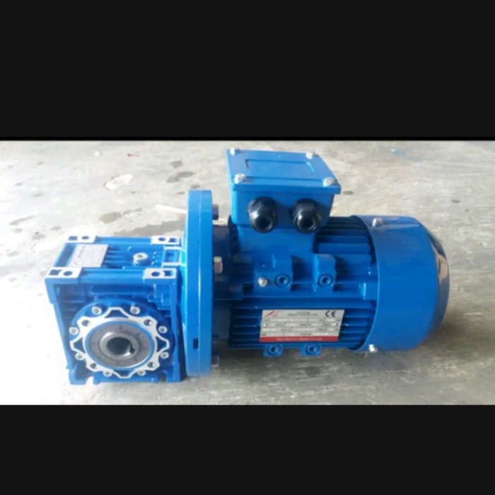 Best Seller Gearbox Nmrv 030 + Motor 0.25Hp 3 Phase Dinamo 1/4 Hp 3 Phase + Nmrv