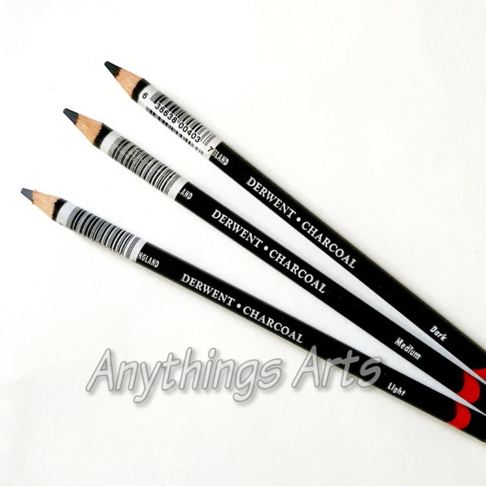 

Terlaris Derwent Fine Art Pencils Charcoal (Light-Medium-Dark)
