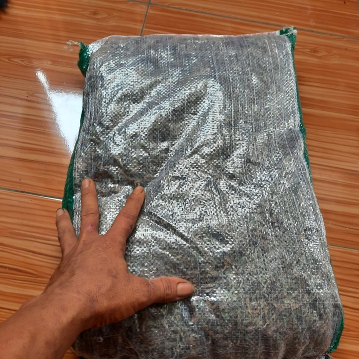 PROMO MEDIA TANAM LUMUT HIDUP MOSS FOREST KEMASAN 1 KARUNG TERMURAH