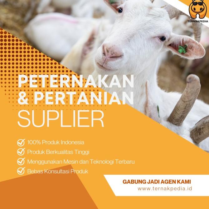 Win Prob Cair 1 L - Winprob Ternak - Win Prob - Probiotik Ternak 1 L Free Ongkir Dan Bisa Cod