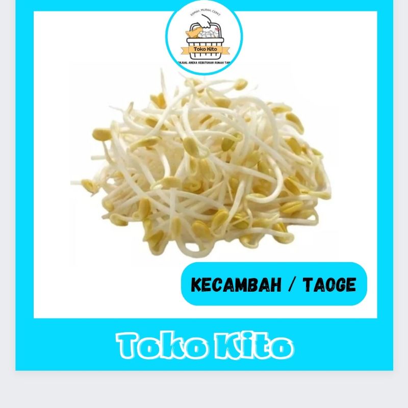 

KECAMBAH / TAUGE / TOGE SEGAR