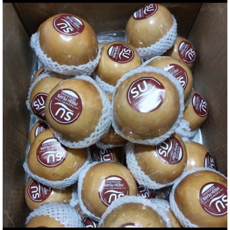 

pear singo Korea buah Import 1 buah