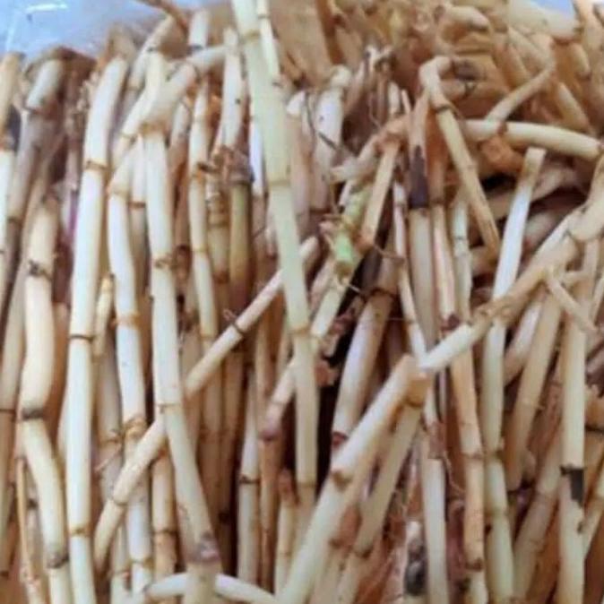 

#####] akar alang2 basah 1 kg
