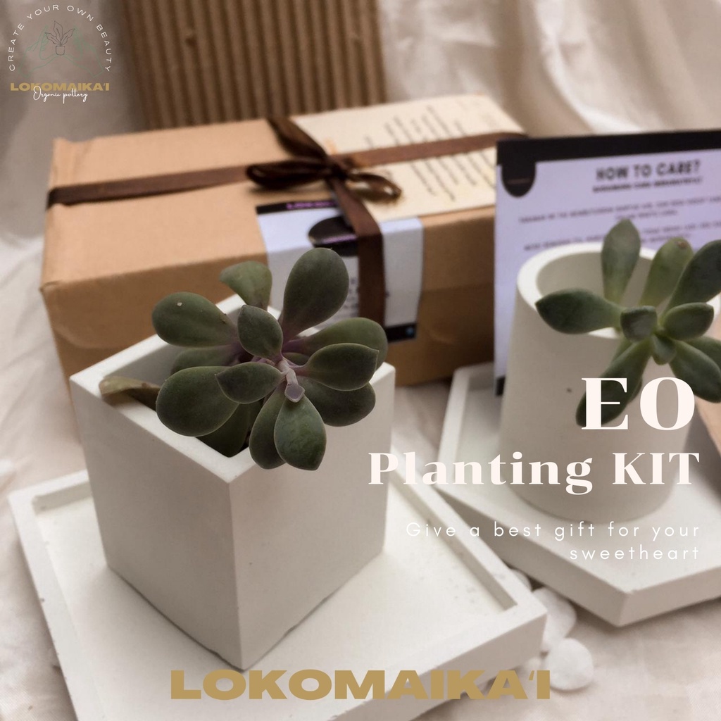 

EO Planting Kit | Hampers Sukulen Murah Unik