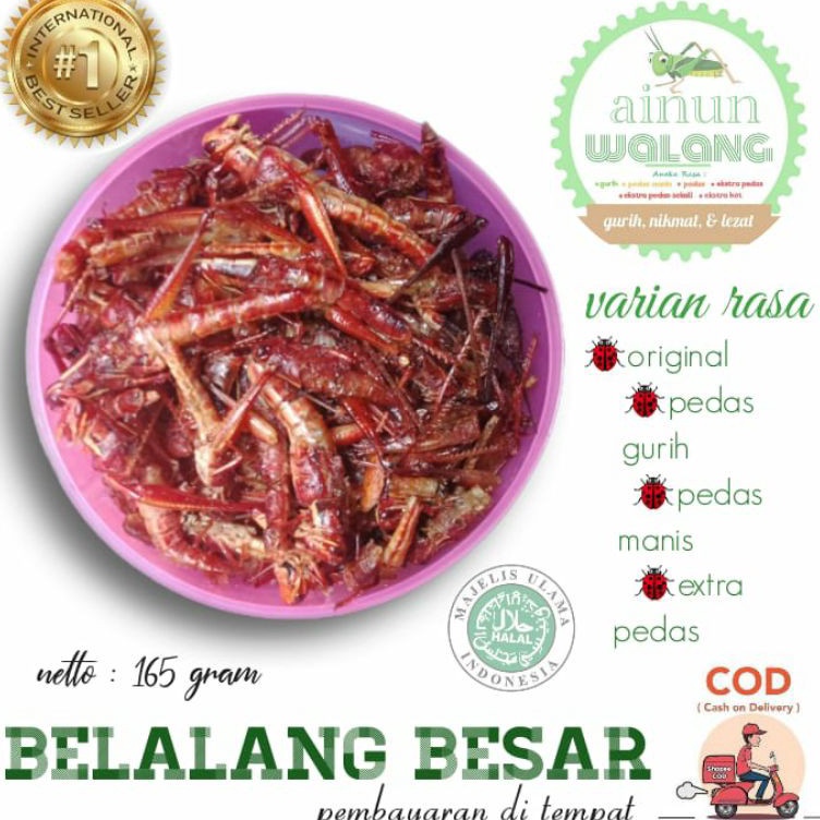 

codeK0w0V Belalang kayu toples besar 165 gram hanya 65rb