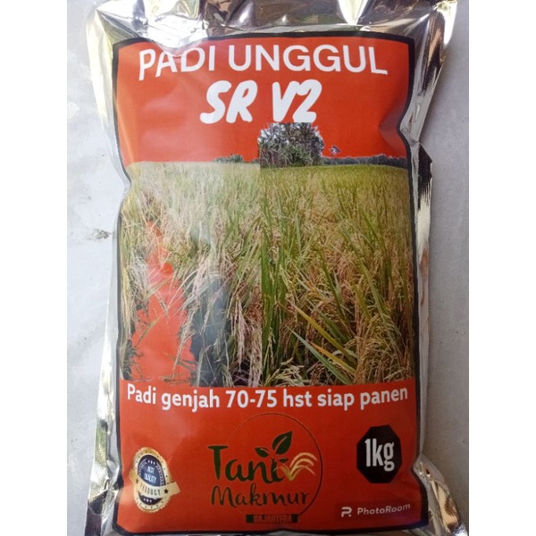 BENIH PADI SR V2 kemasan 1 kg