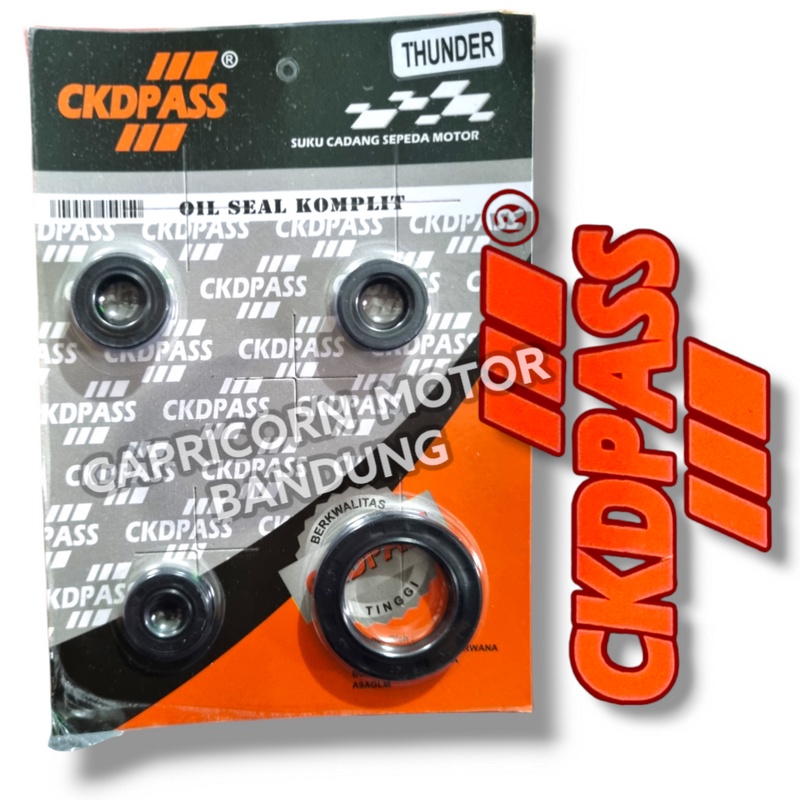 OIL SEAL SIL KOMPLIT KIT SET THUNDER 125 CKD PASS