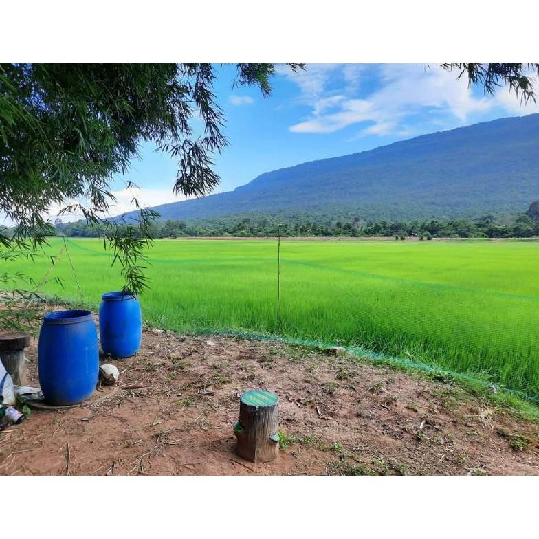 (BAYAR DITEMPAT) Desinfektan + Fungisida CapBADAK 1liter 