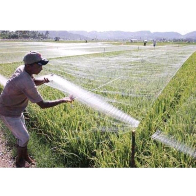 Model Baru✫☈ AIEES Jaring burung sawah lebar 7,5m panjang 100yds jaring burung pipit jaring burung e