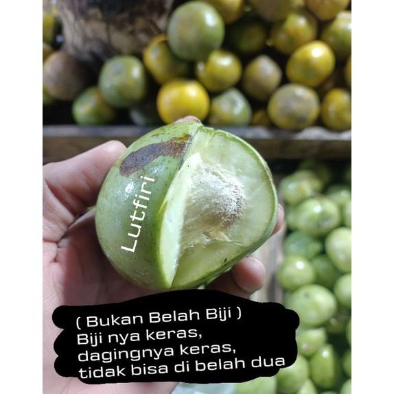 

HOT PROMO MANGGA TELOR ATAU TELUR MUDA MENTAH 1 KG BELAH BIJI ASEM SEGAR FRESH RUJAK MANISAN ASINAN