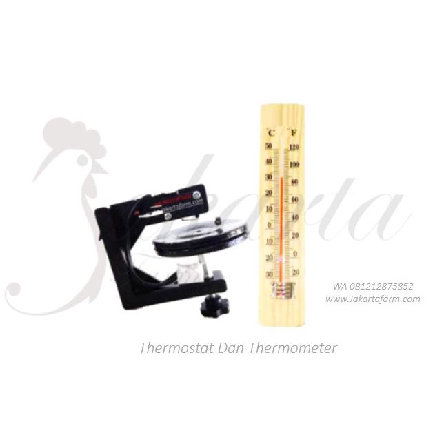 Thermostat kapsul dan Thermometer Mesin tetas telur