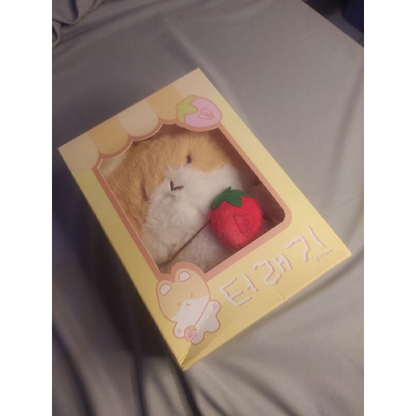 TEOLAEGI BAEKHYUN 20 CM