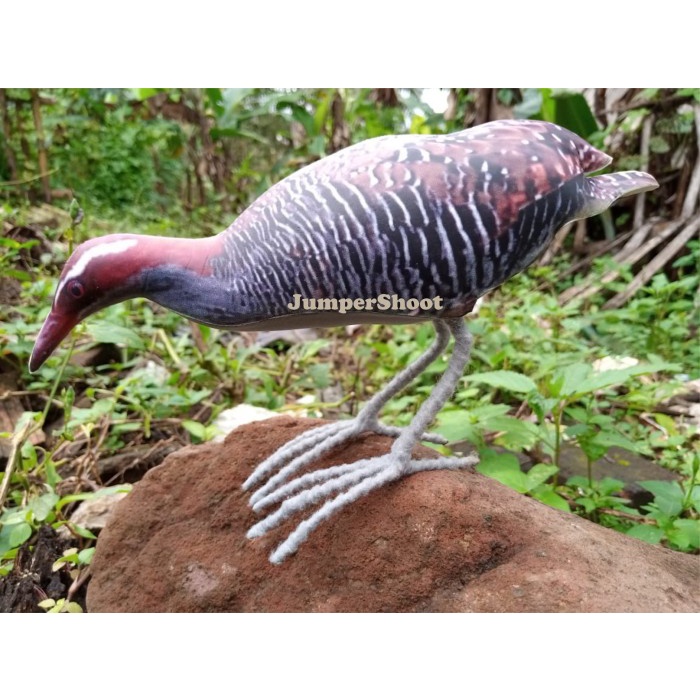 Terlaris Jontrot/Patung Sintar Medan Patung Burung Sintar