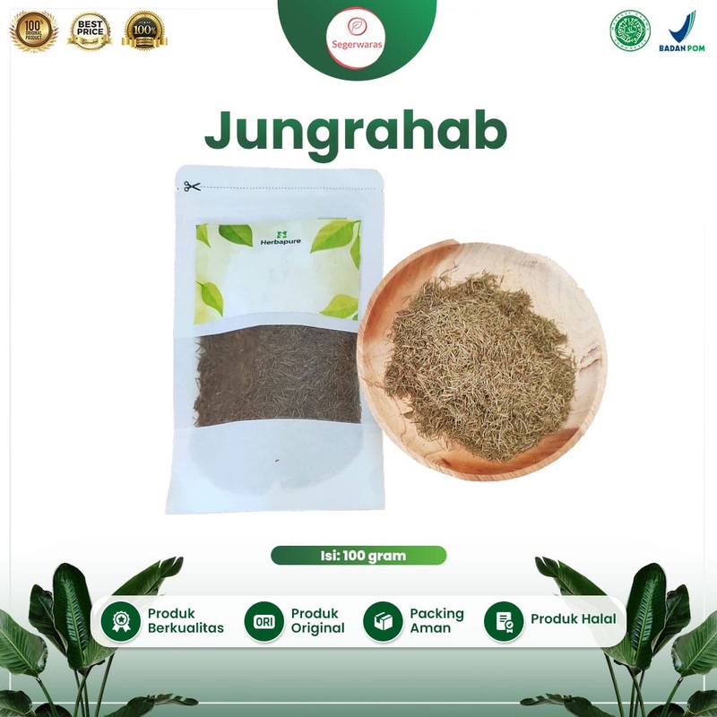 

☘️Segerwaras☘️ Herbal Jungrahab Ujung Atap Melancarkan Menstruasi