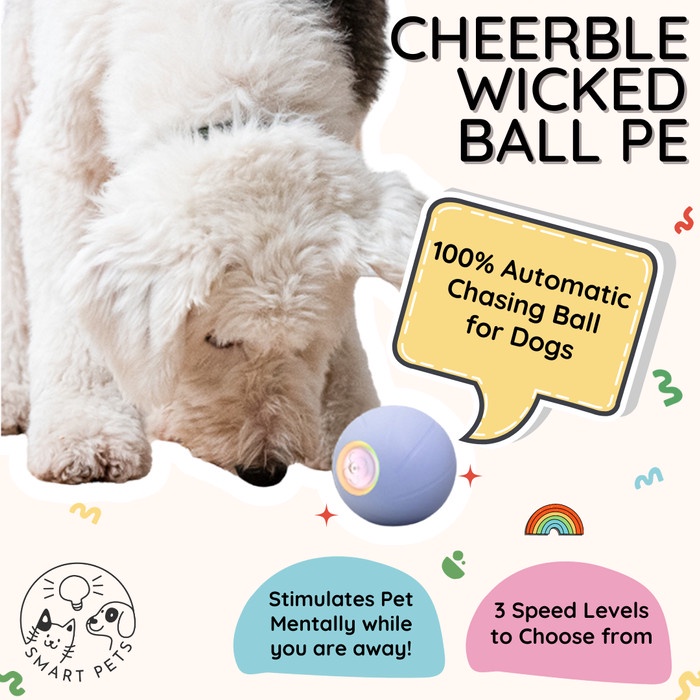 Best Seller Cheerble - Wicked Ball Pe