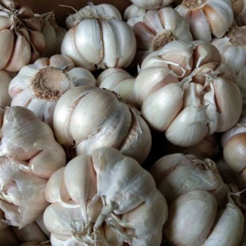 

Bawang putih 1 kg