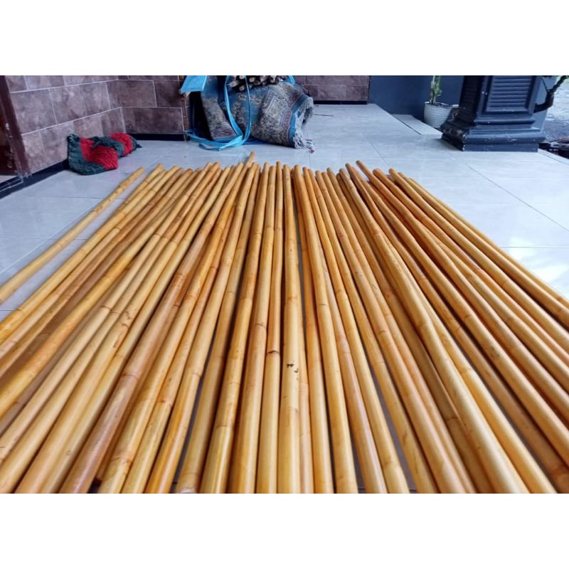 TOYA ROTAN PENCAK SILAT