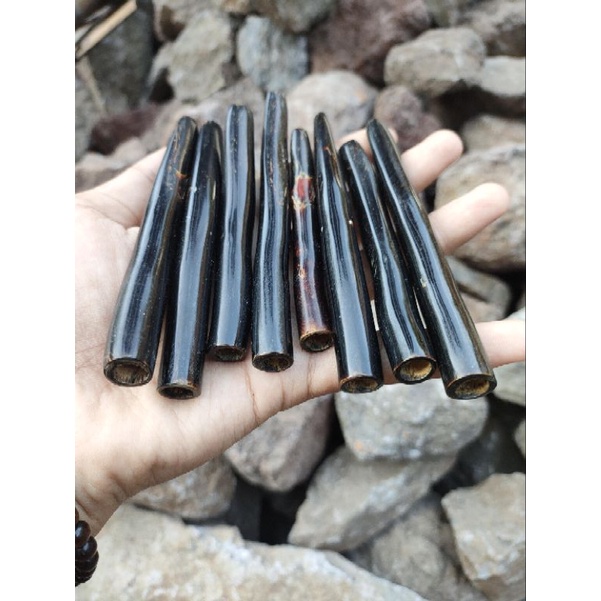 ONCE PIPA AKAR BAHAR ATAU TALI ARUS PANJANG BERVARIASI