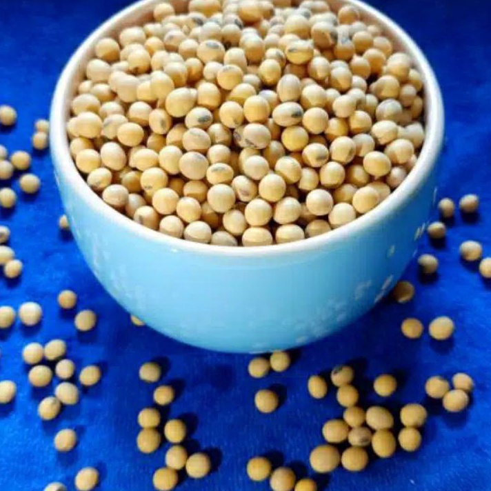 

ぼ III 1999 1kg kacang kedelai mentah super import amerika asli 100% 8.8 ✵