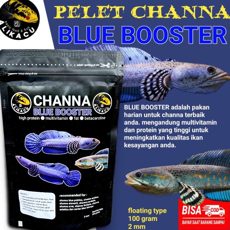 Terpercaya.. CHANNA BLUE BOOSTER | setara pelet premium 88 | pelet ikan channa blue pulchra blue orn