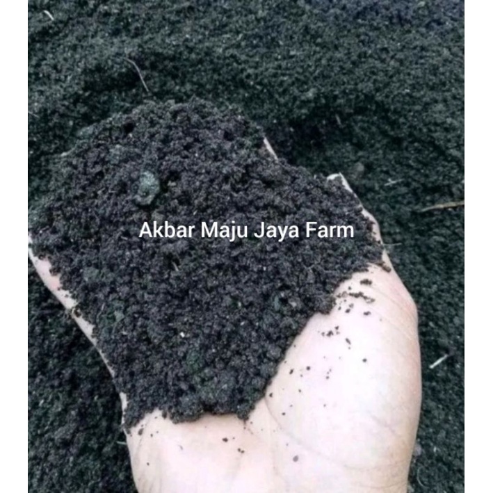 kohe pupuk fermentasi kotoran kambing siap pakai