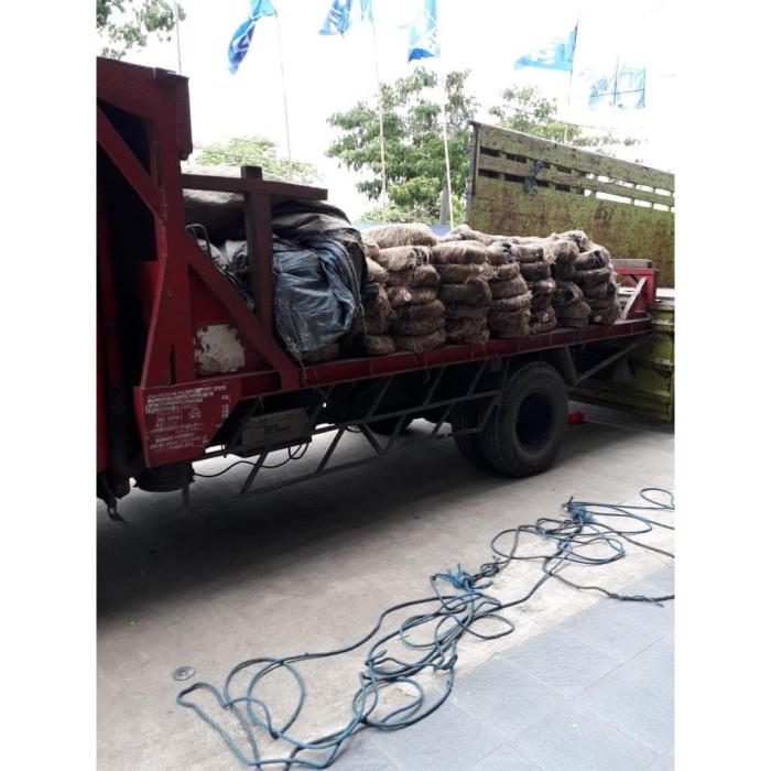 Latins Kawat Bendrat 20 Kg