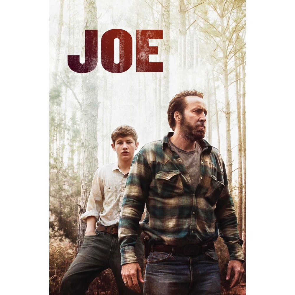 DVD Kaset Joe (2013)