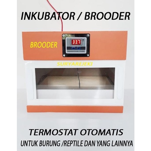 sale penghangat anakan burung inkubator penghangat anakan burung