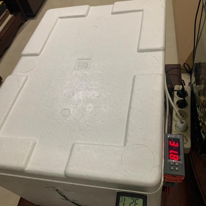 Inkubator Ball Python /Inkubator Reptile /Incubator Reptile