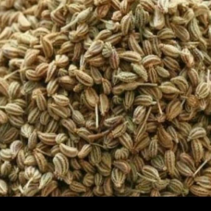 

Buruan beli] AJWAIN SEEDS /CAROM SEEDS / INDIA PUNYA 1 KG