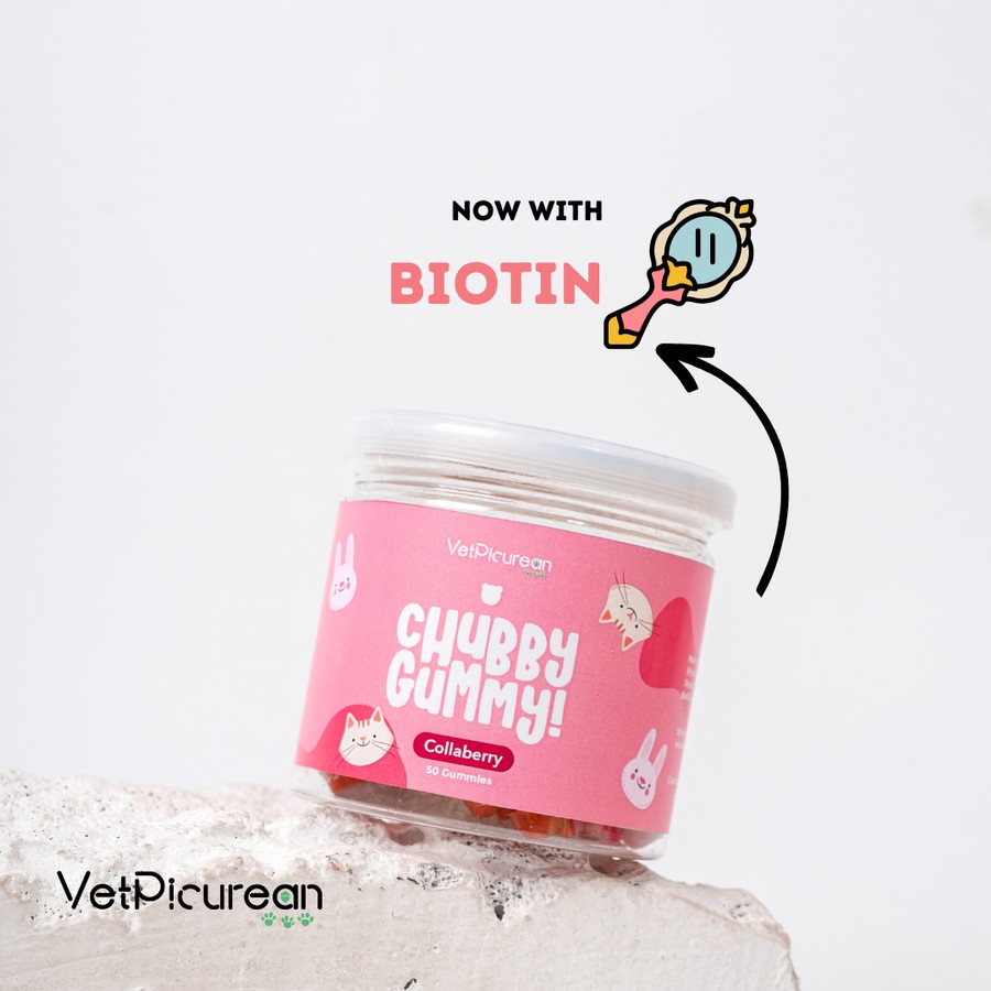 CHUBBY Gummy COLLABERRY - Vitamin Bulu Anjing Kucing (Fish Collagen / Goji Berry / VCO)