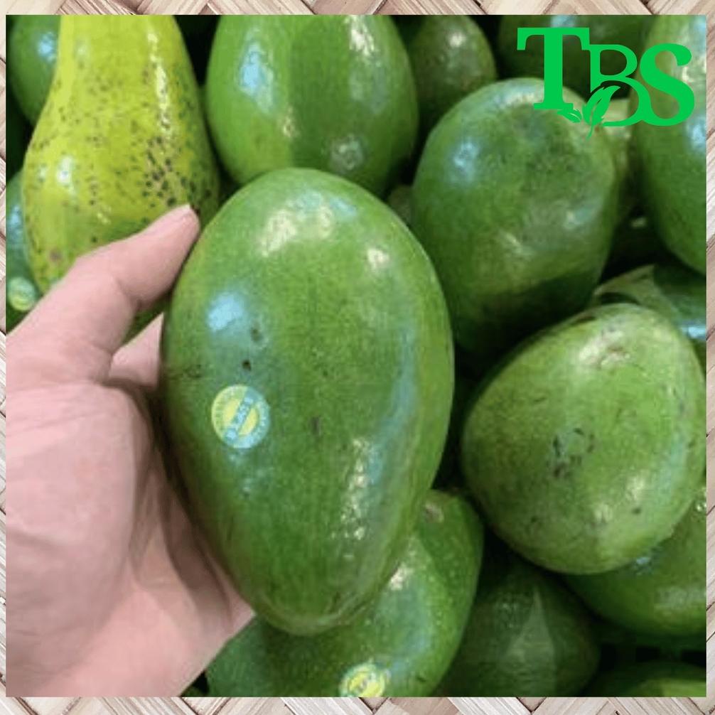 

⚡TOK SIAP 【COD BUAH ALPUKAT | ALPUKAT MENTEGA 1 KG