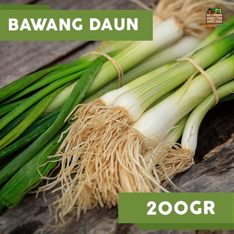 

Bawang Daun | 200gr (Kota Bandung & Sekitar)