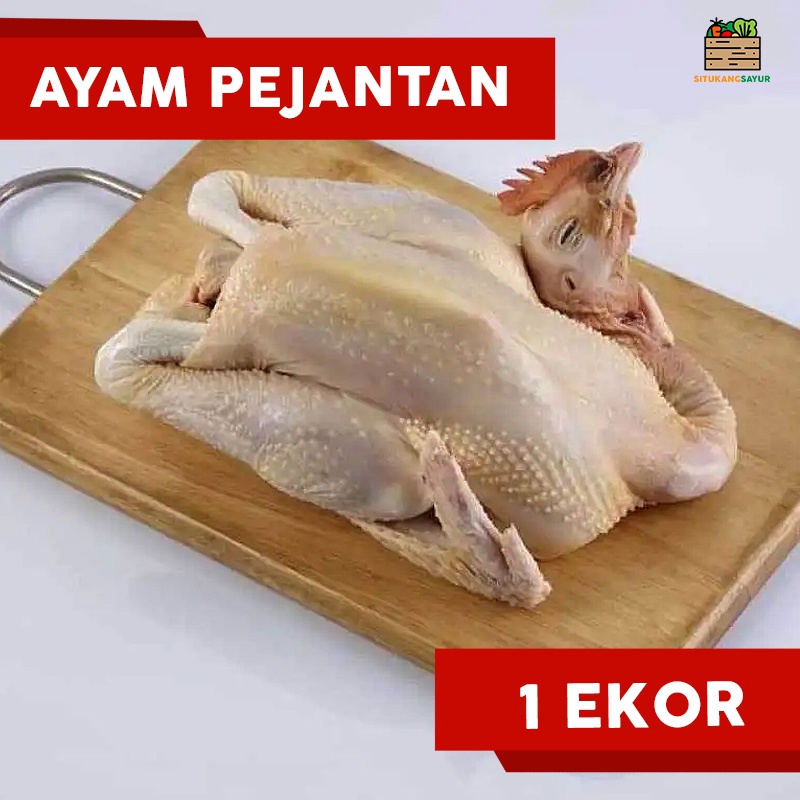 

Ayam Pejantan | ±650gr (Kota Bandung & Sekitar)