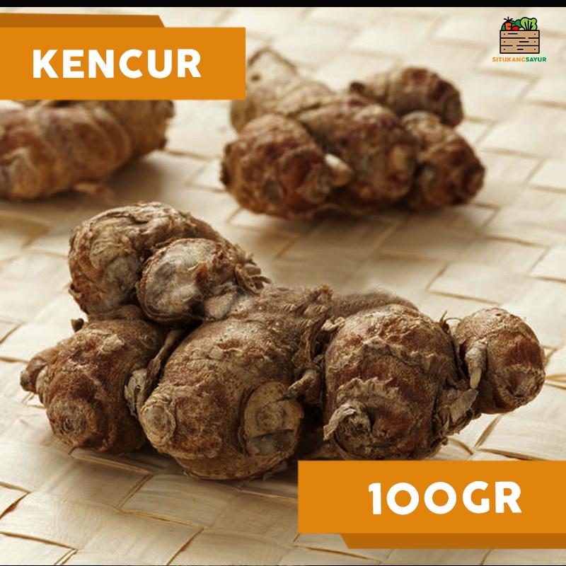 

Kencur | 100gr (Kota Bandung & Sekitar)