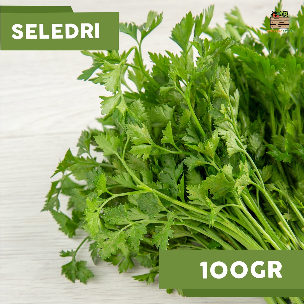 

Seledri | 100gr (Kota Bandung & Sekitar)