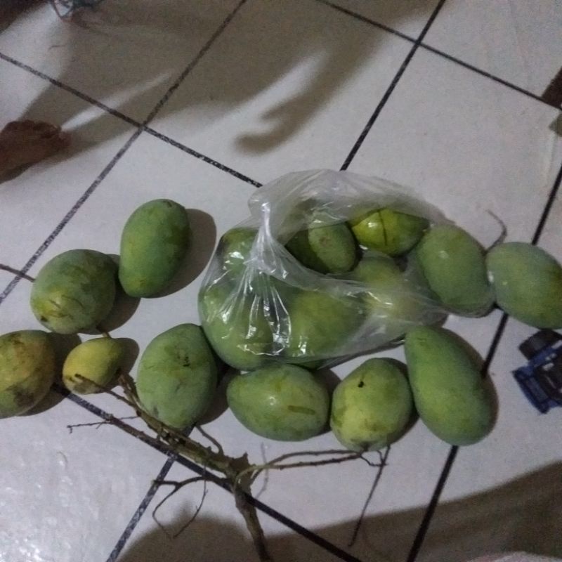 

kurma mangga