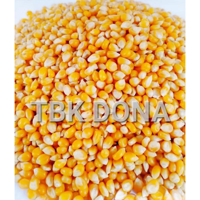 

PRODUK JAGUNG POPCORN REPACK 1 KG MURAH