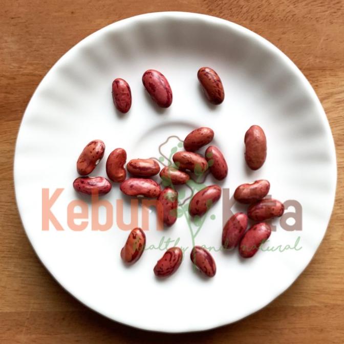 

TERBARU KACANG MERAH ORGANIK 1 KG