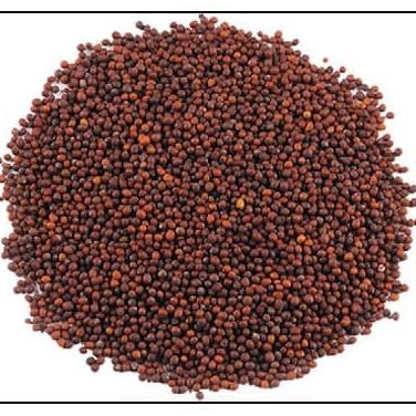 

TERBARU BLACK MUSTARD SEEDS (RAI) 100GRAM