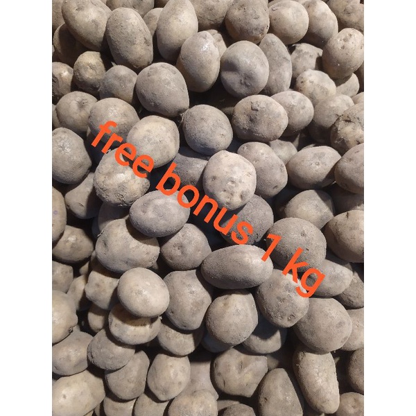 

kentang baby 250gr + gratis bonus