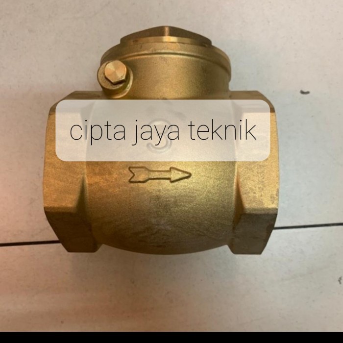 Swing Check Valve Kuningan / Klep Tabok 3 (Inch) Pn16