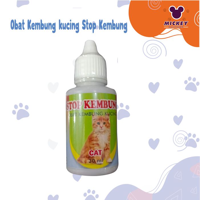 Obat Kembung kucing Stop Kembung