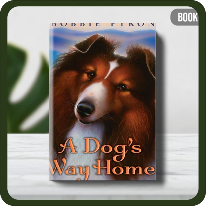 

Buku - A Dogs Way Home by Pyron Bobbie