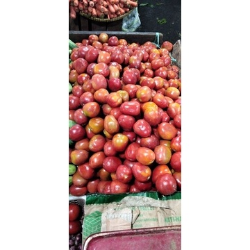 

tomat merah, tomat hijau