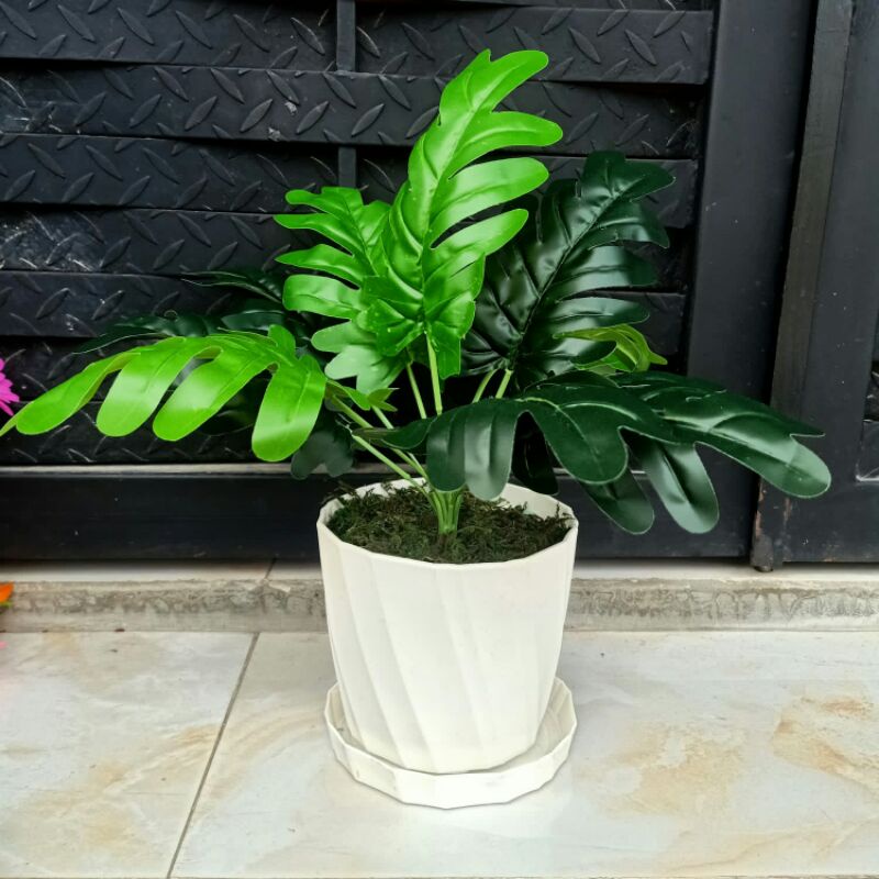 Set daun hias monstera bunga anthurium tanaman hia pot sudut bunga artifisial dekorasi rumah